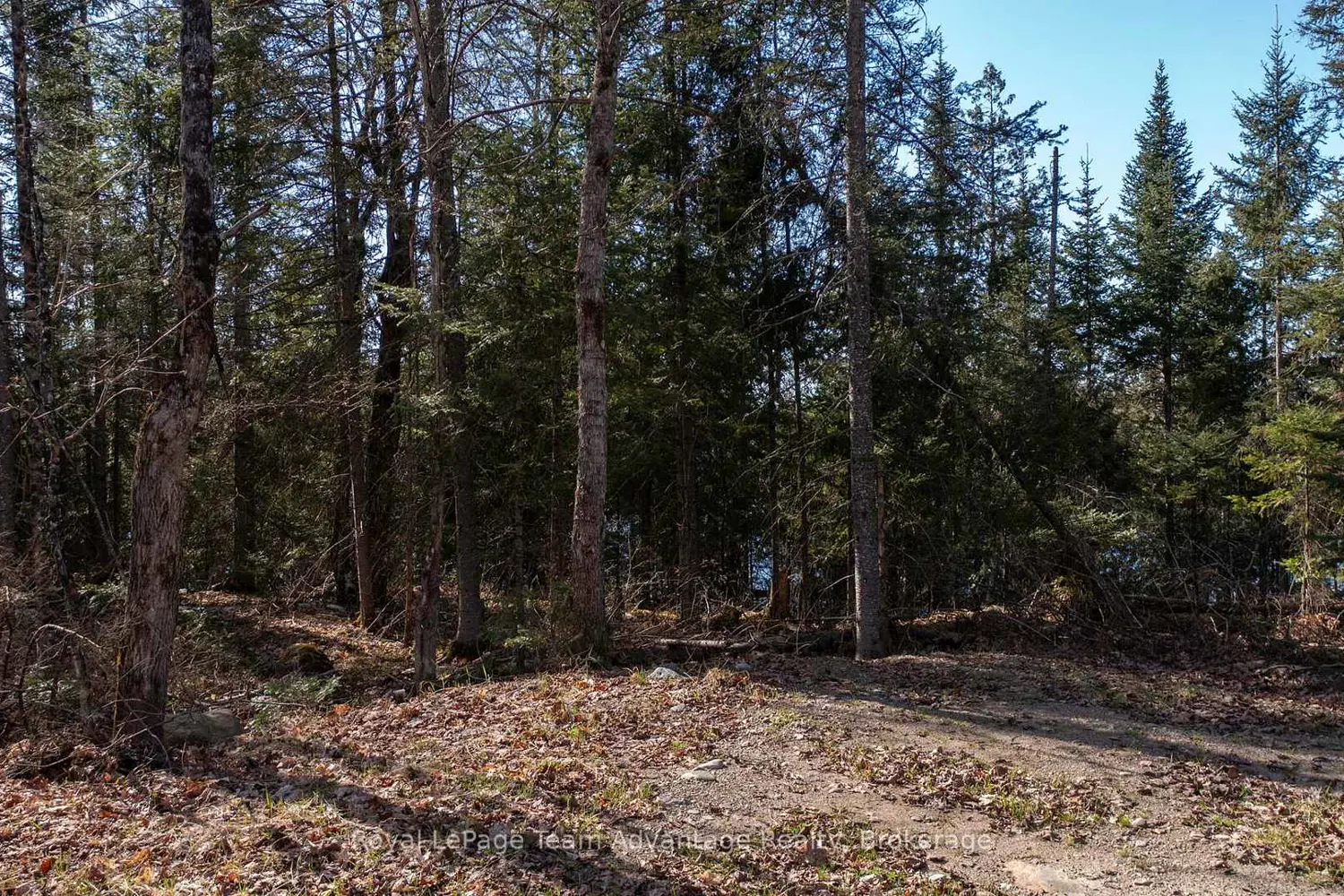 Additional image 13 of Lot 2 Greenwood Way