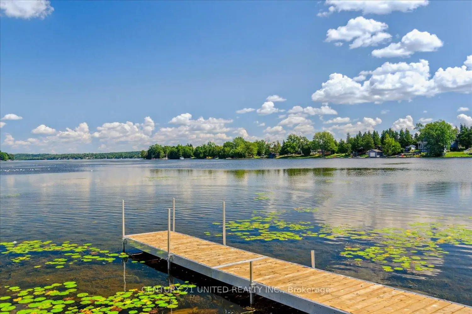Additional image 20 of 15 Bertha Street