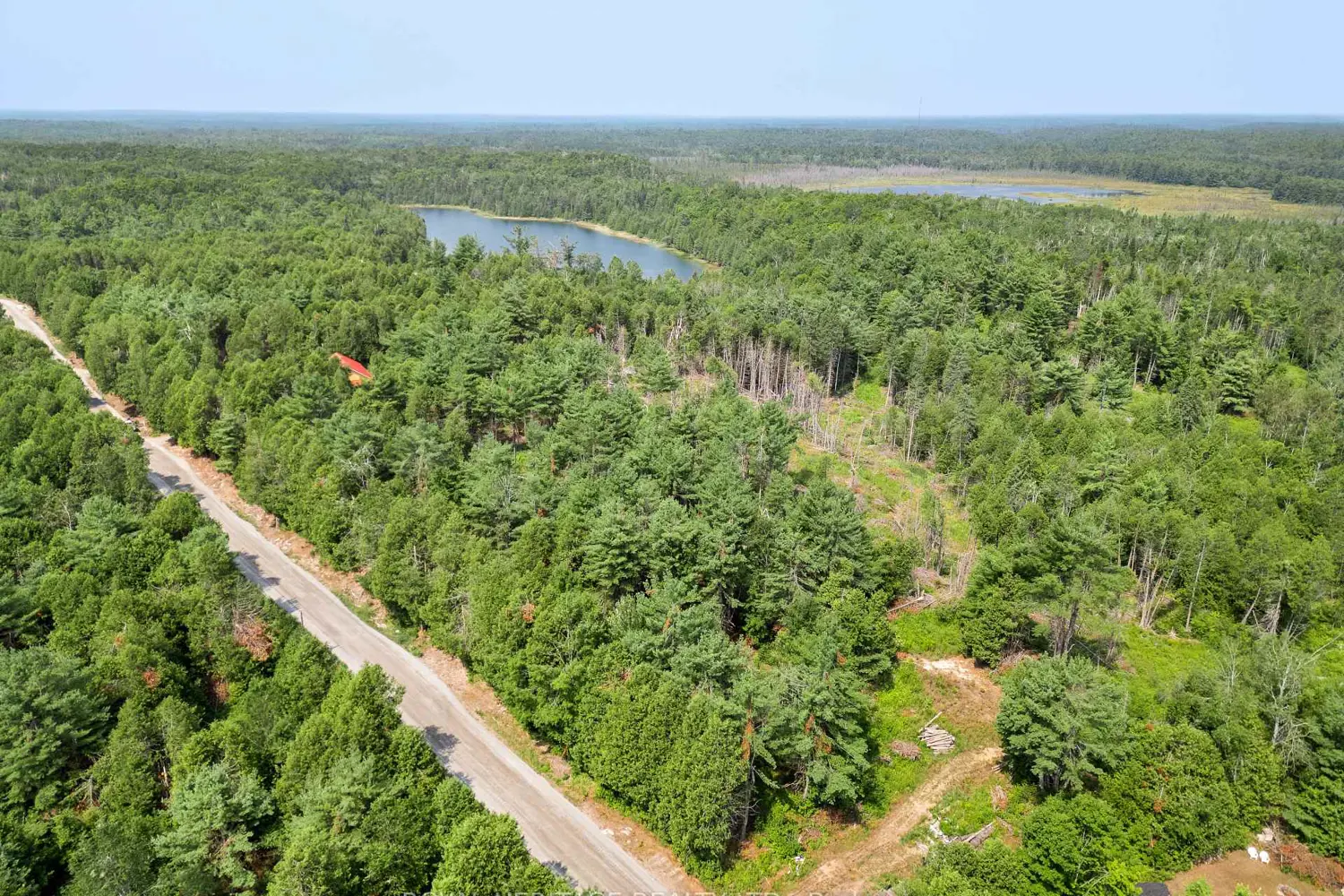 201 Dutch Line Road photo 4