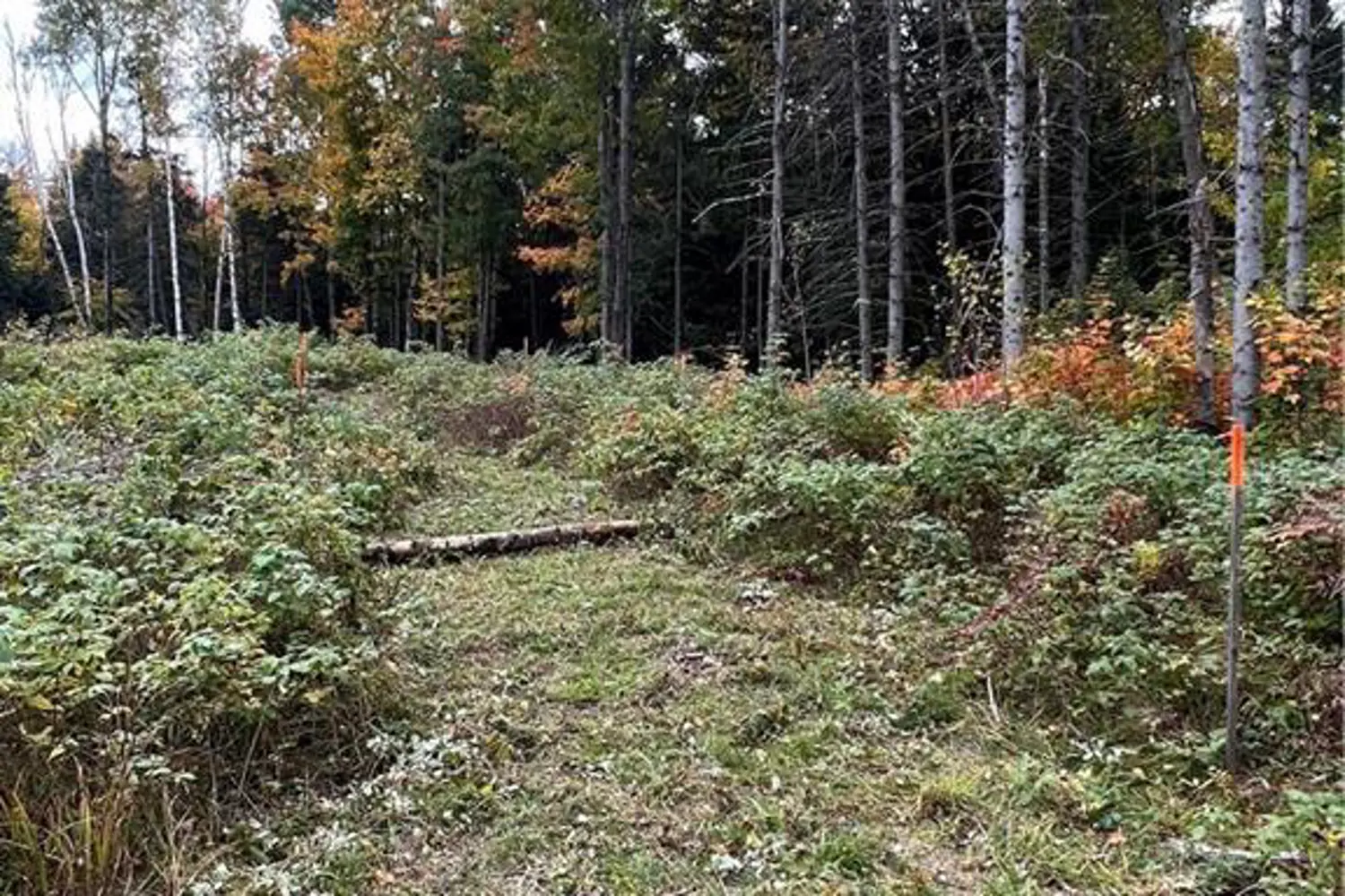 Additional image 4 of 1759 Alsace Road