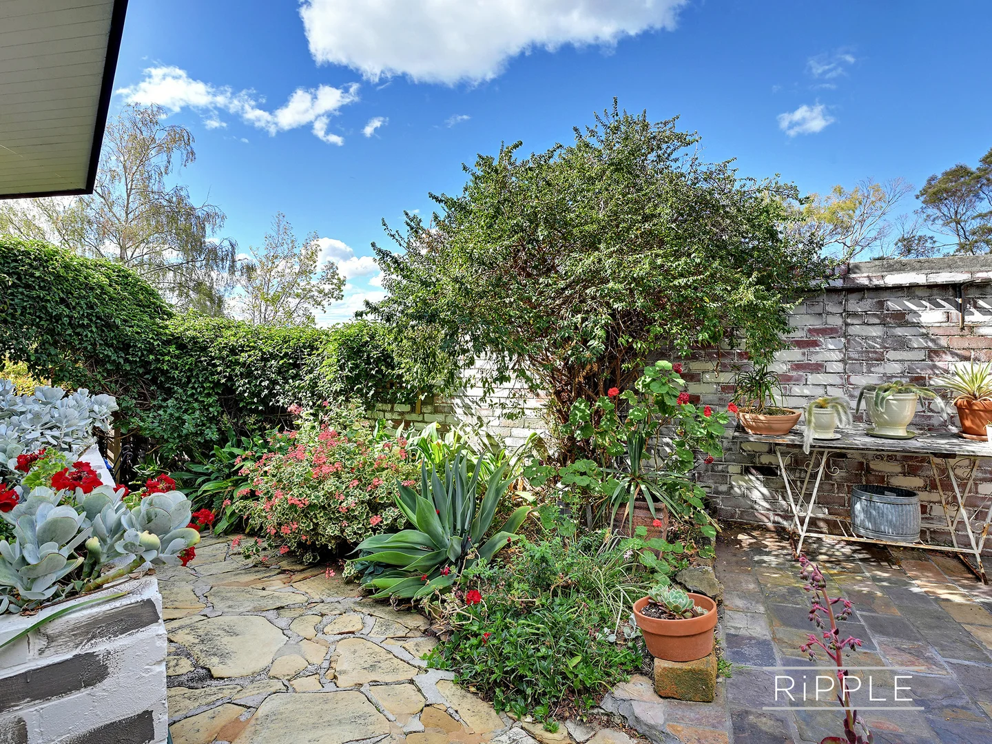 Additional image 21 of 4 Athleen Avenue, Lenah Valley TAS 7008
