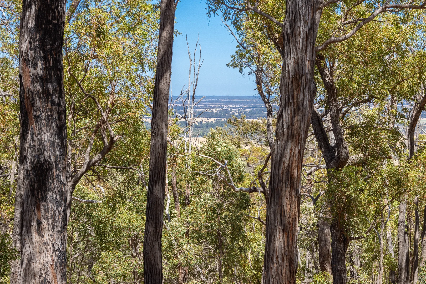 Additional image 12 of 1/672 Tallathalla Road, Waroona WA 6215