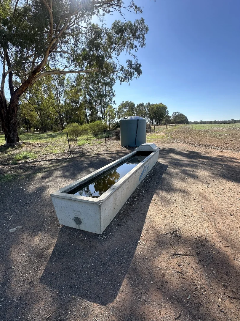Additional image 2 of . Lilydale Road, Balldale NSW 2646