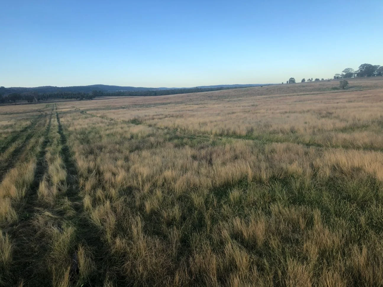 Additional image 20 of 1920 Castlereagh Highway, Dunedoo NSW 2844
