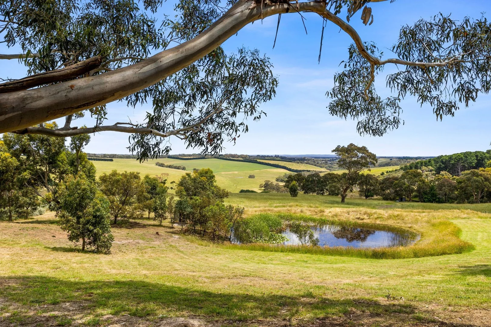 Additional image 7 of 231 Grossmans Road, Torquay VIC 3228