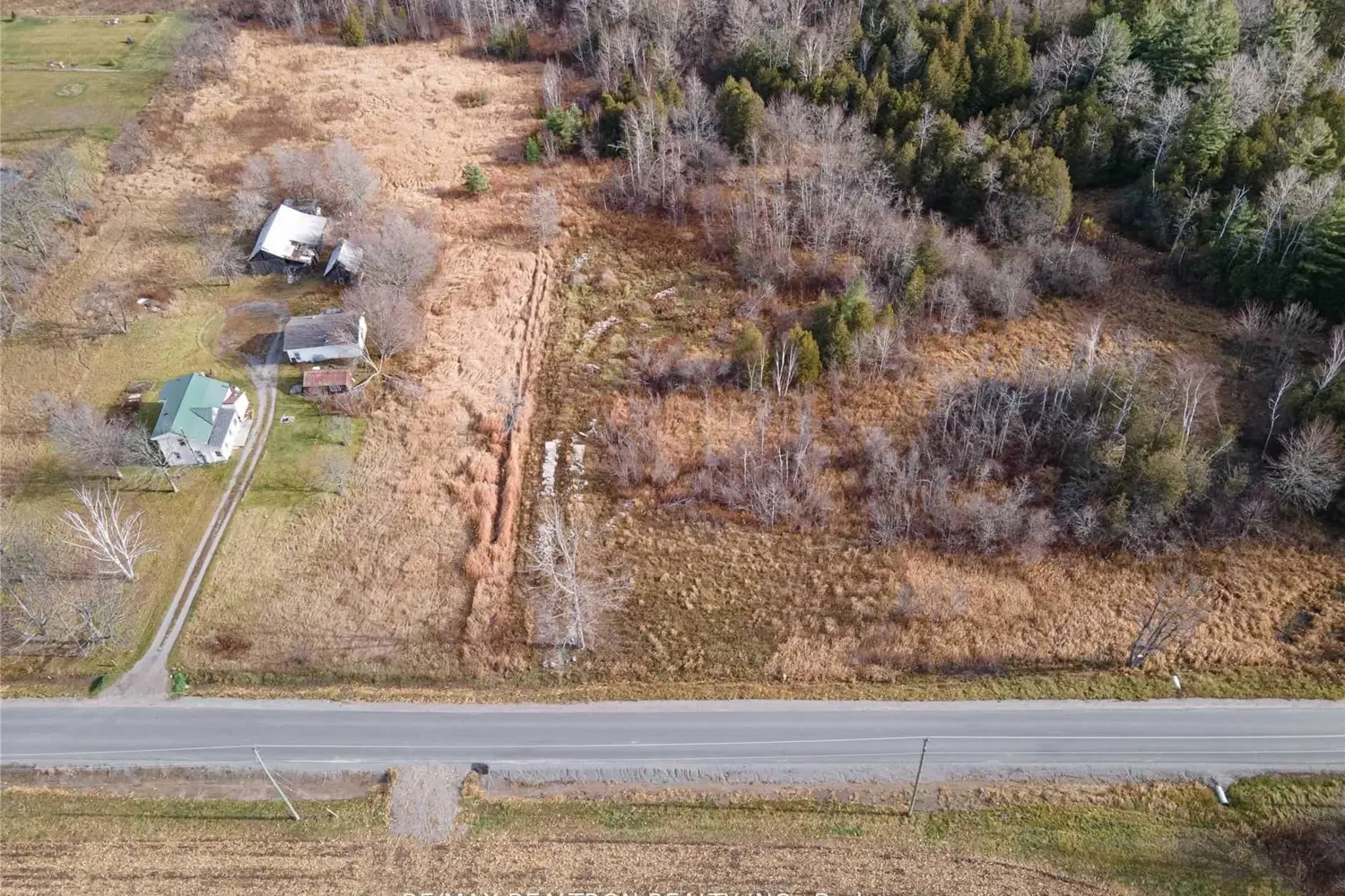 305 Brimley Road photo 2
