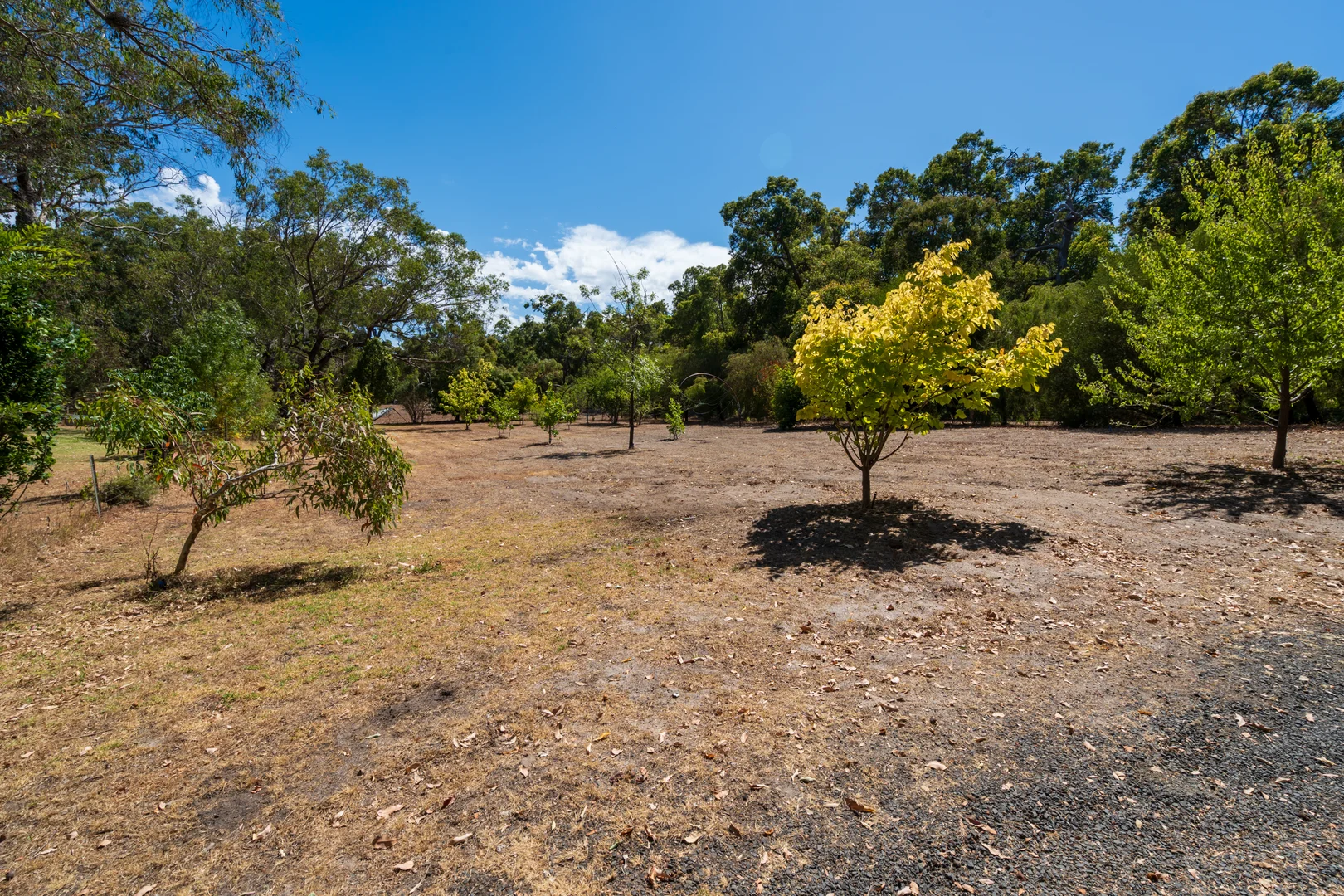 Additional image 16 of 53 Balyan Retreat (Perup), Manjimup WA 6258