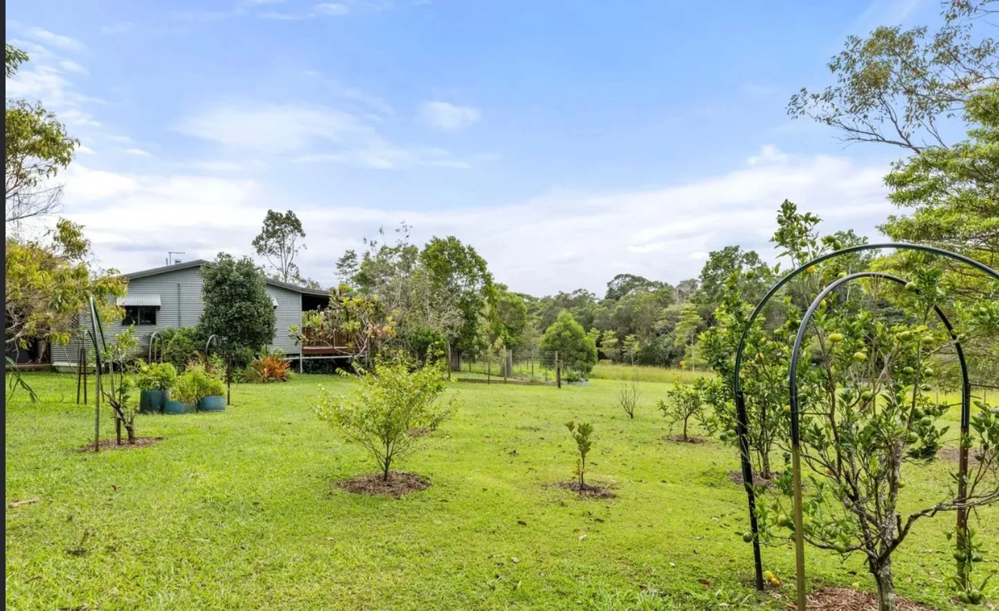 Additional image 14 of 91 Mary Jane Drive, Julatten QLD 4871