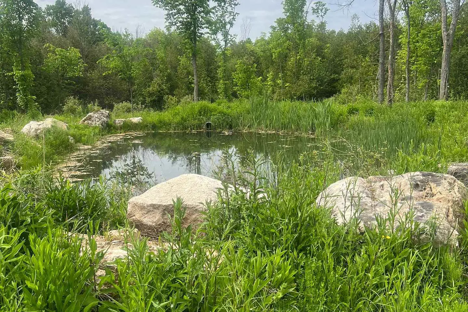 Additional image 15 of 104264 Grey Road 18