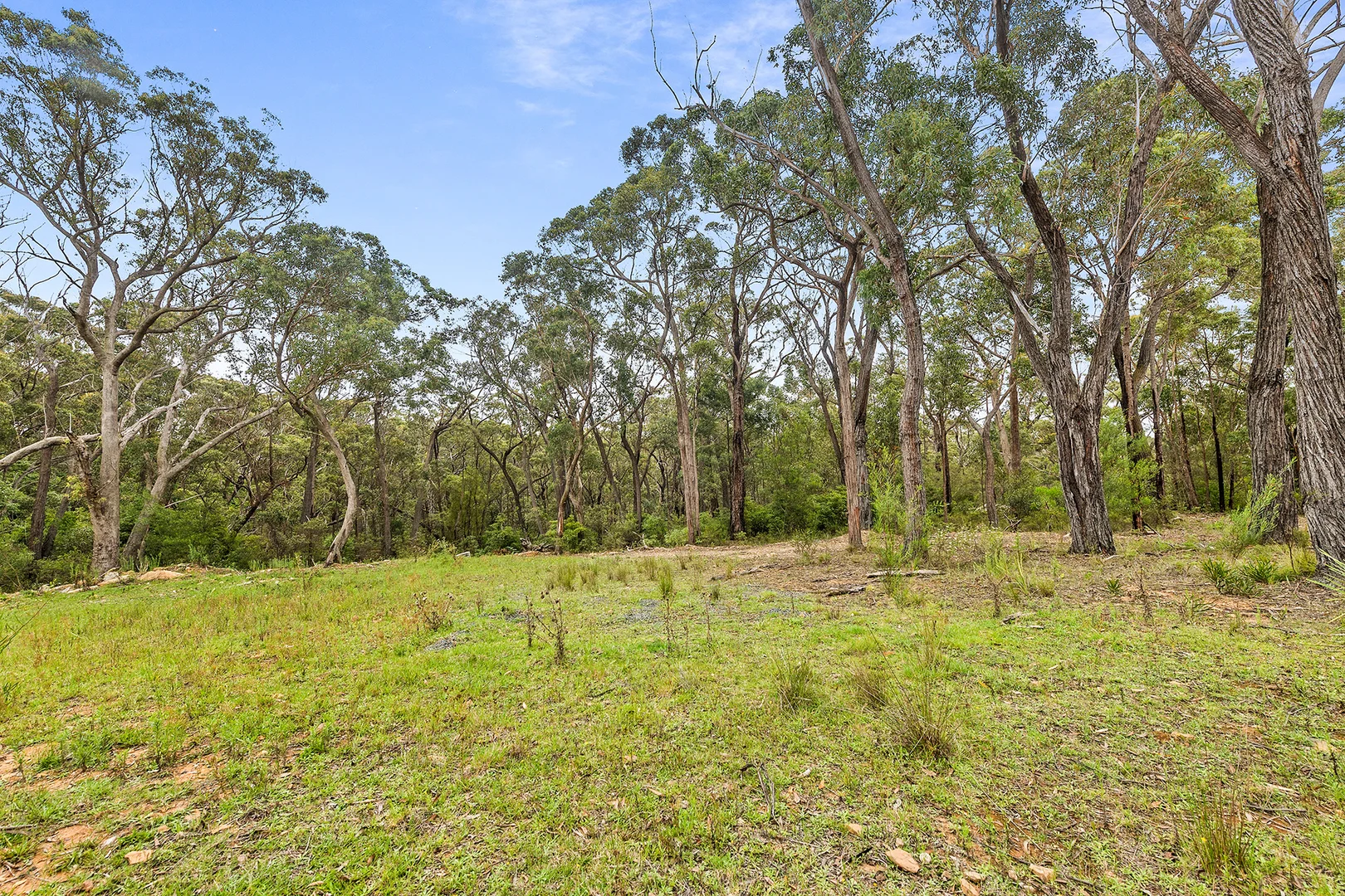 Additional image 14 of 17 London Pl, Hill Top NSW 2575