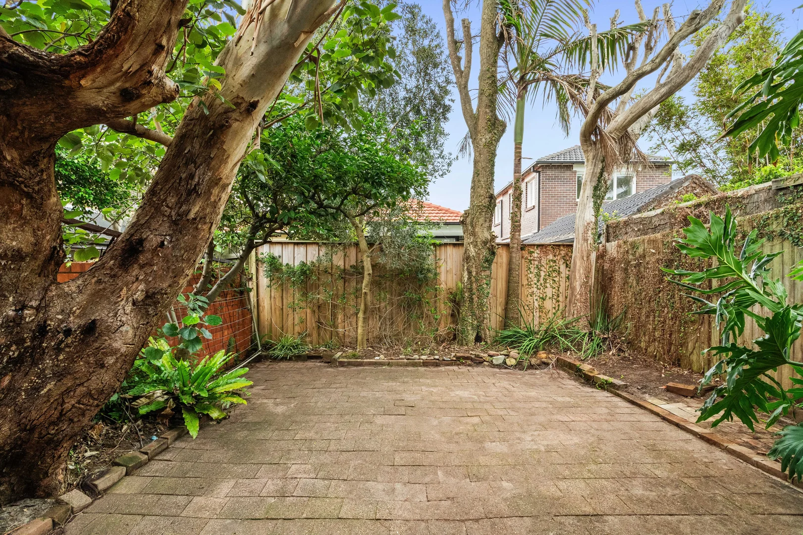 Additional image 10 of 41 Wairoa Avenue, North Bondi NSW 2026
