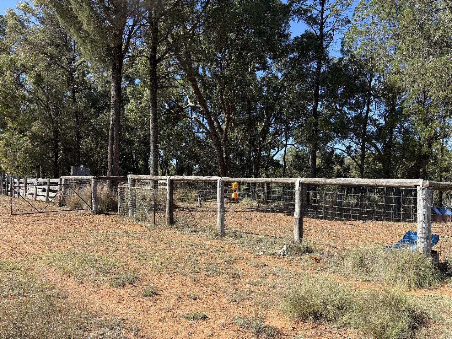 Additional image 32 of 2875 Newell Highway, Rocky Glen NSW 2357