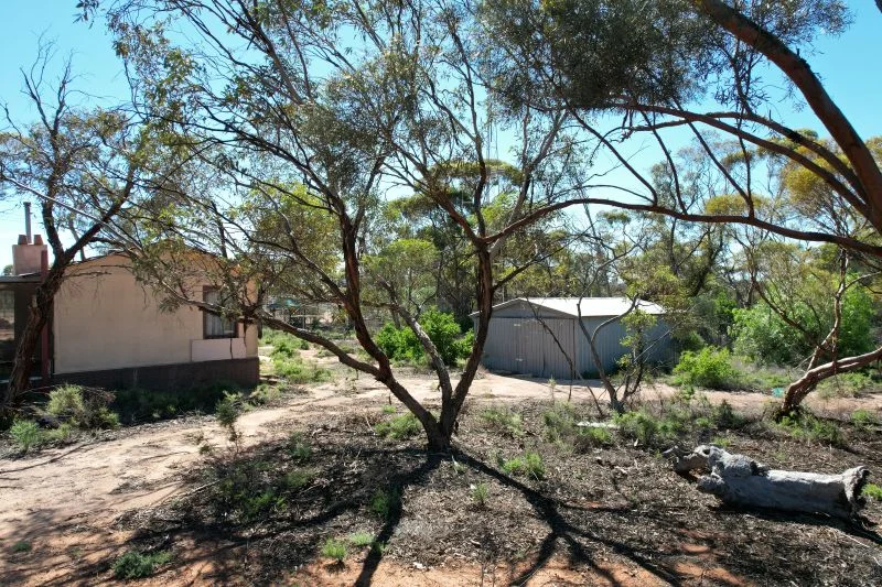 26 Slaughter Road, Loveday SA 5345 photo 4