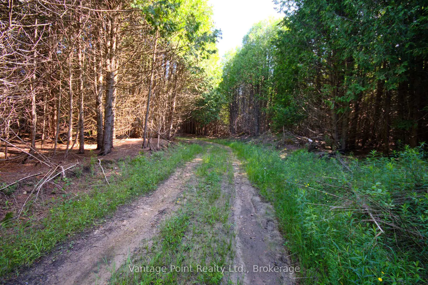 Additional image 16 of 775381 10 Highway