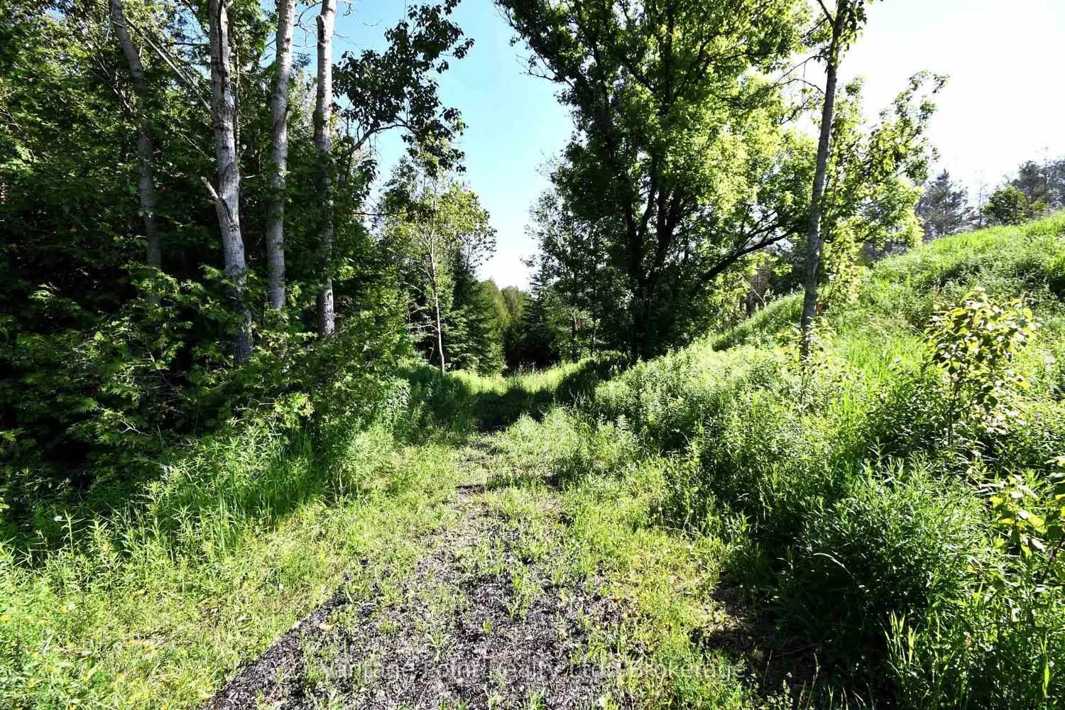 Additional image 19 of 775381 10 Highway