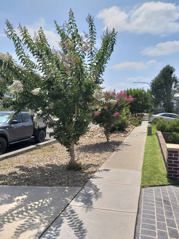 9 St Mirren Avenue, North Kellyville NSW 2155
