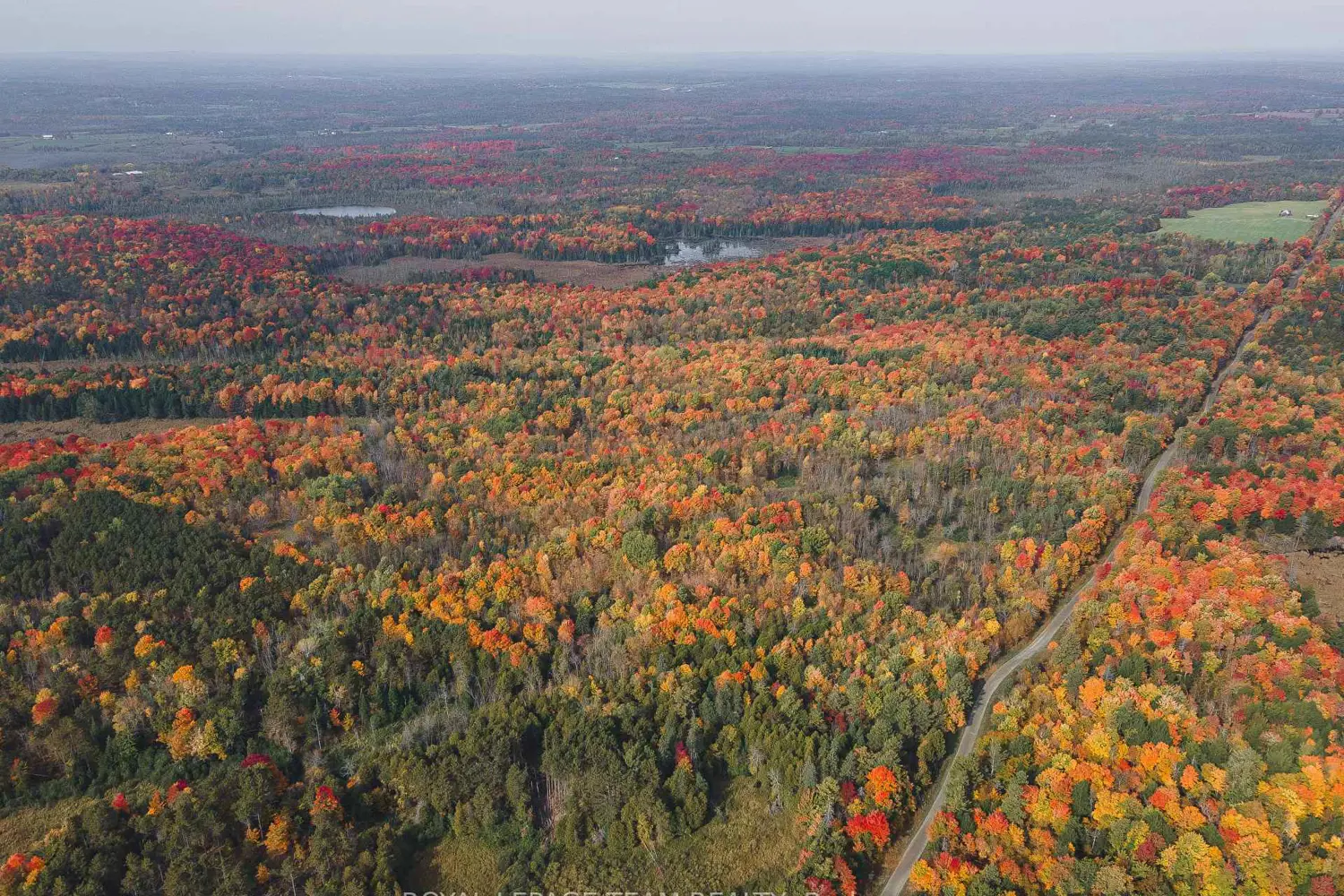 Additional image 8 of Lot 7 10Th Concession B Road