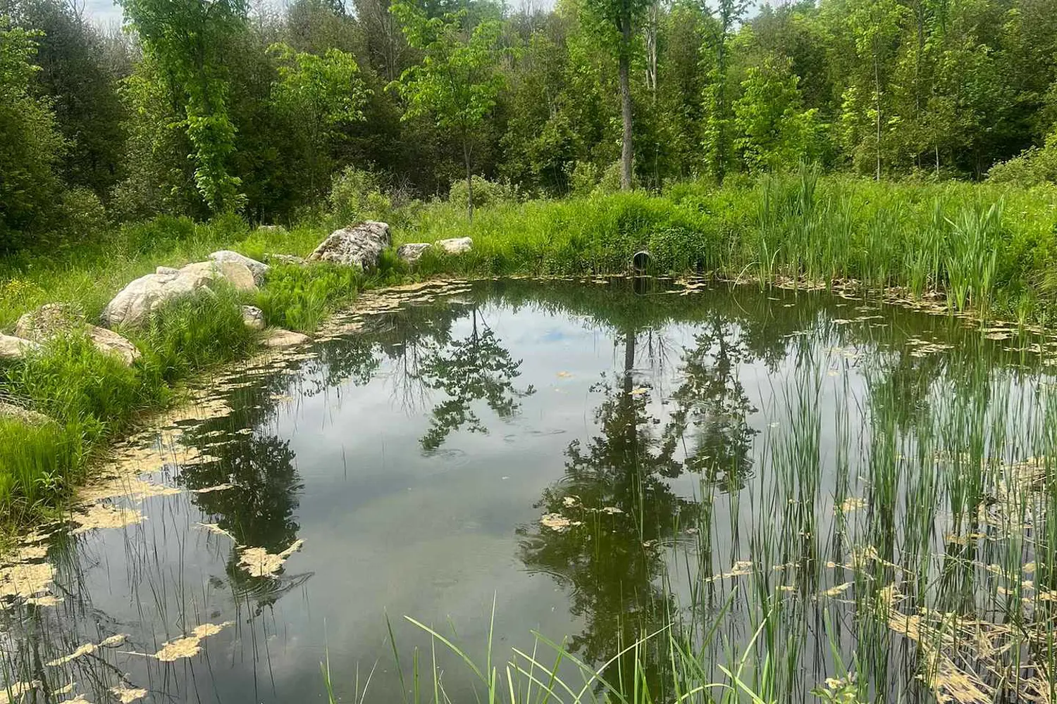 Additional image 16 of 104264 Grey Road 18