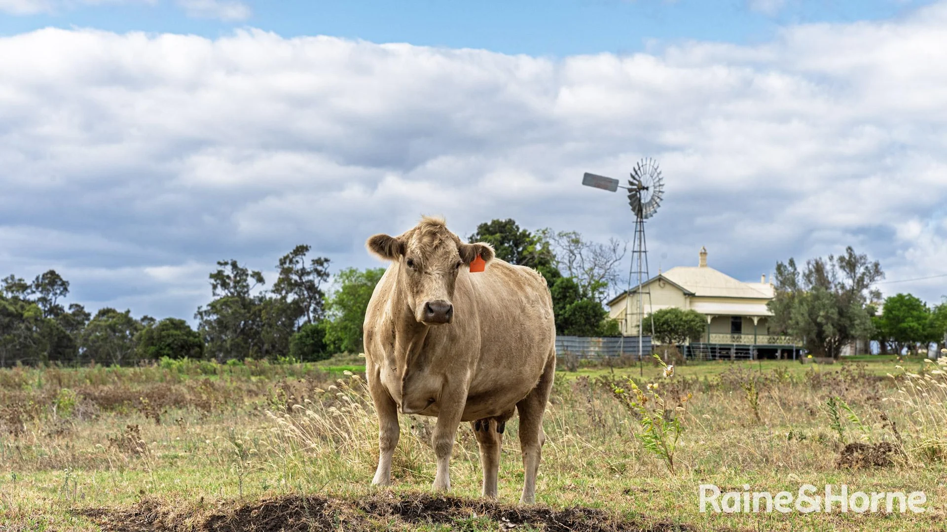 Additional image 14 of 104 Gillespie Road, Freestone QLD 4370