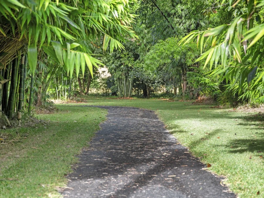 Additional image 5 of 210 Fridays Creek Road, Upper Orara NSW 2450