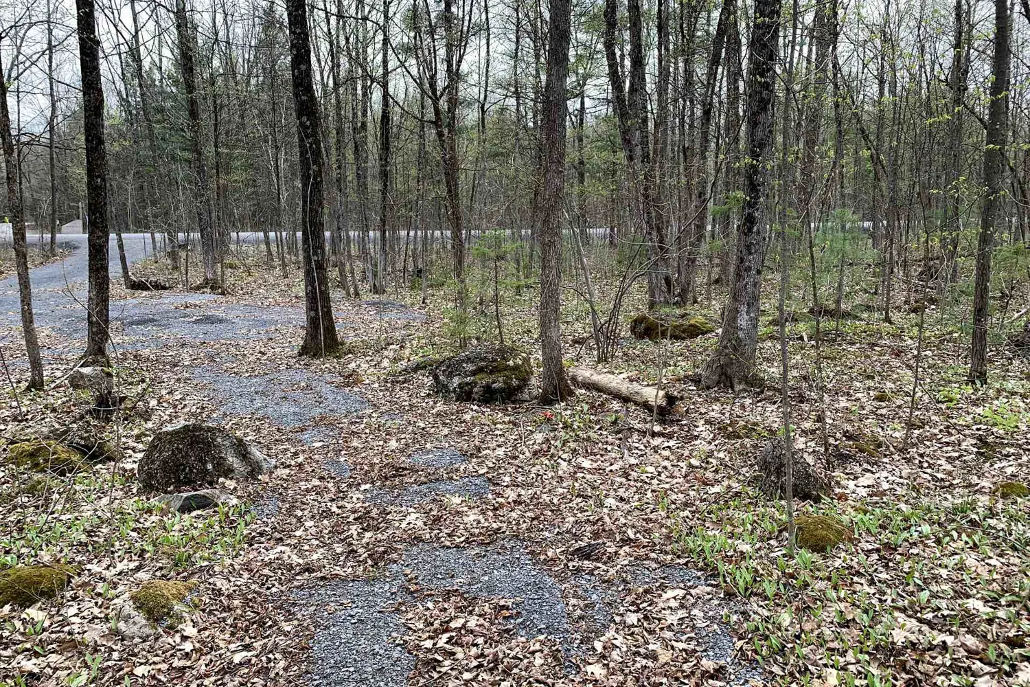 Additional image 6 of 00 O'toole Road