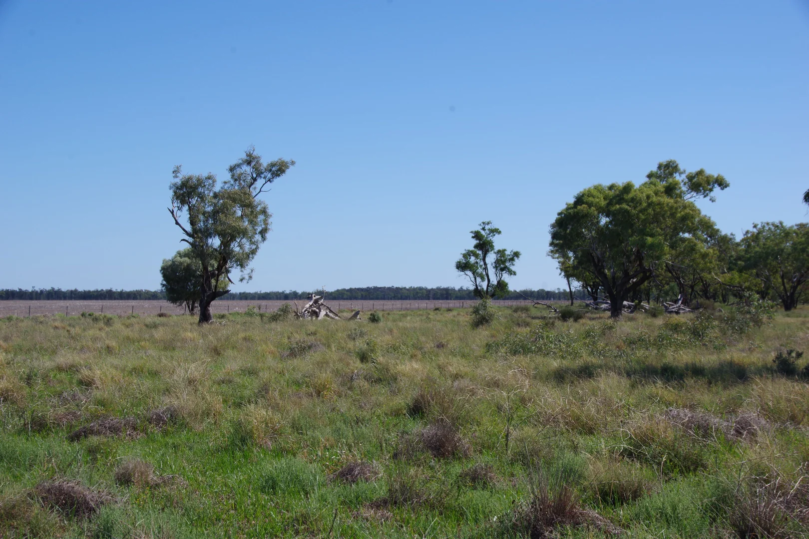 Additional image 3 of . Sunnyside Lane, Wee Waa NSW 2388