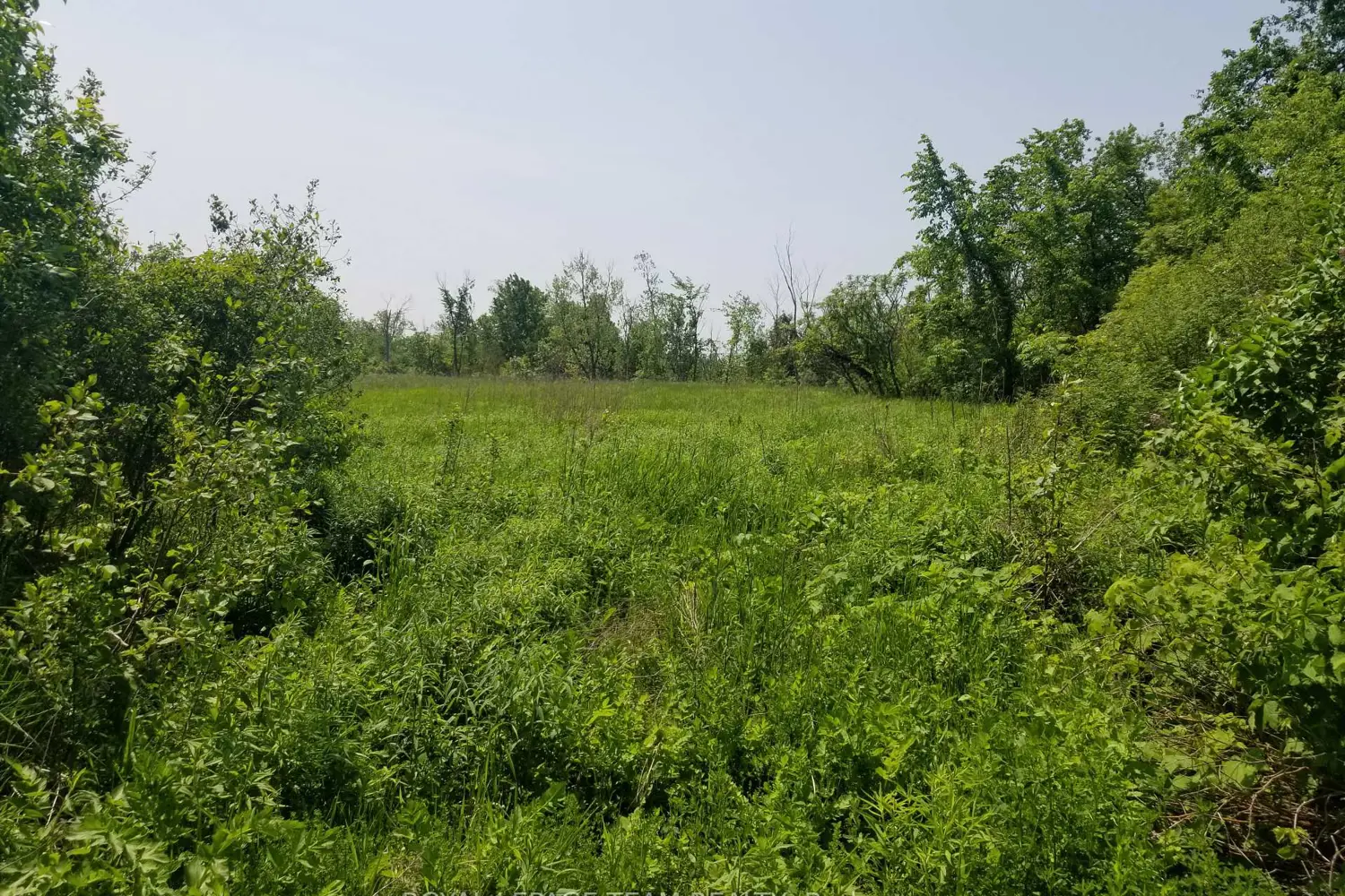 Additional image 2 of 0000 Scrivens Drive