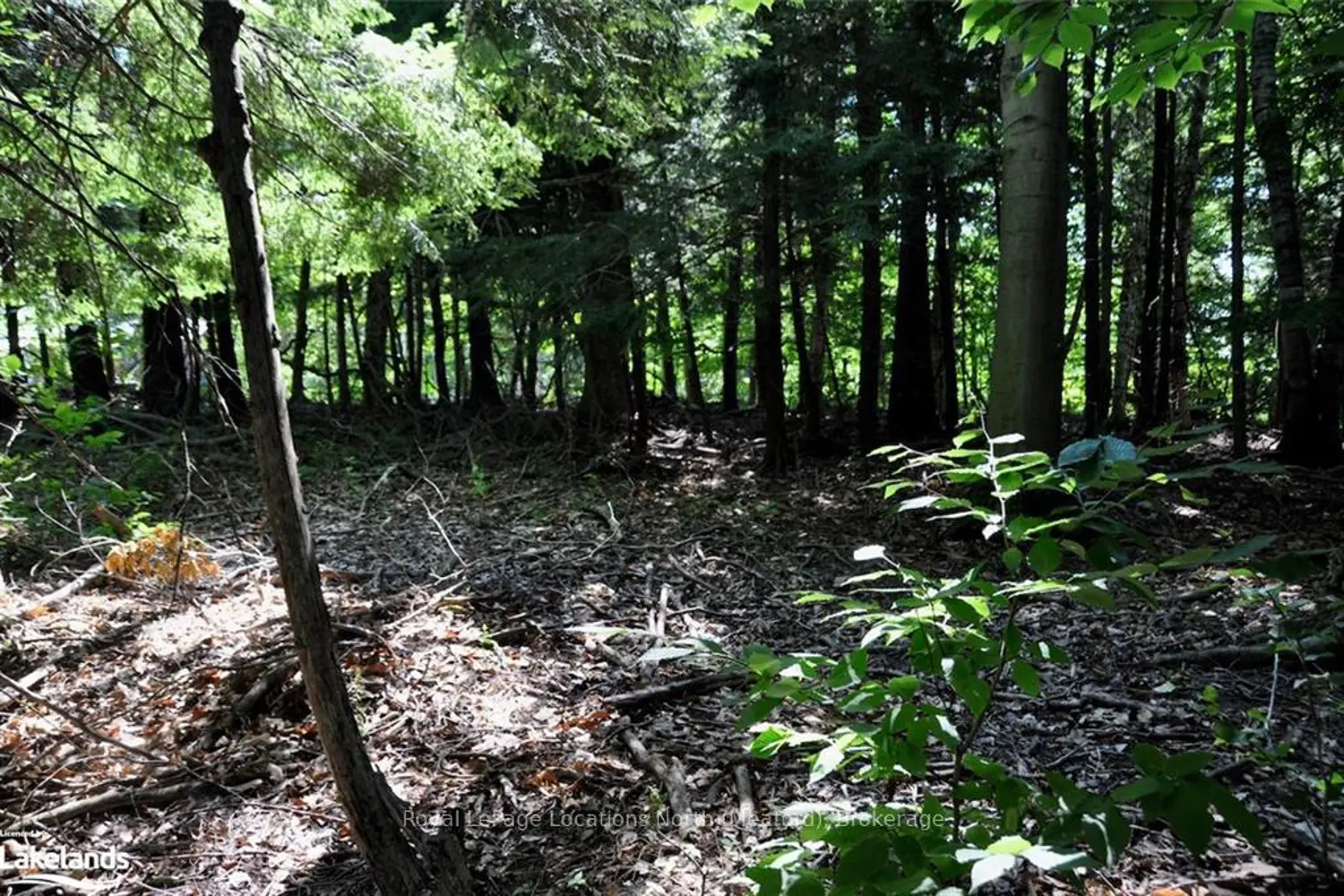 Additional image 7 of Lot 21 Bayshore Road