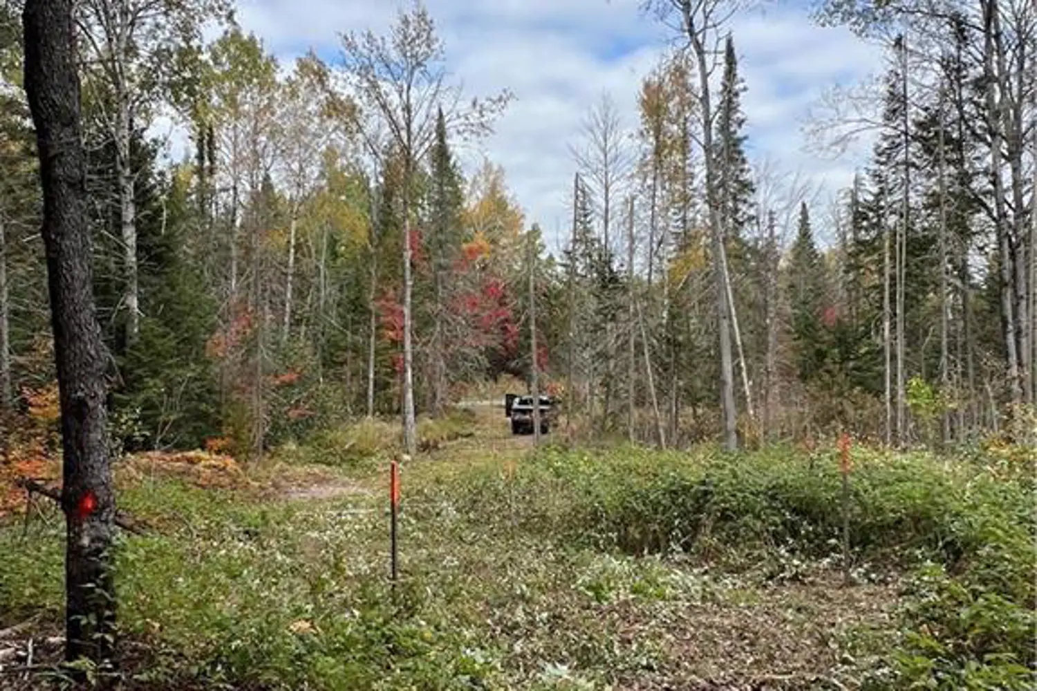 Additional image 14 of 1759 Alsace Road