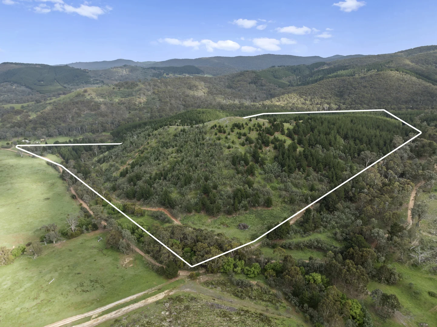 Additional image 4 of 259 Hells Hole Creek Road, Bonnie Doon VIC 3720