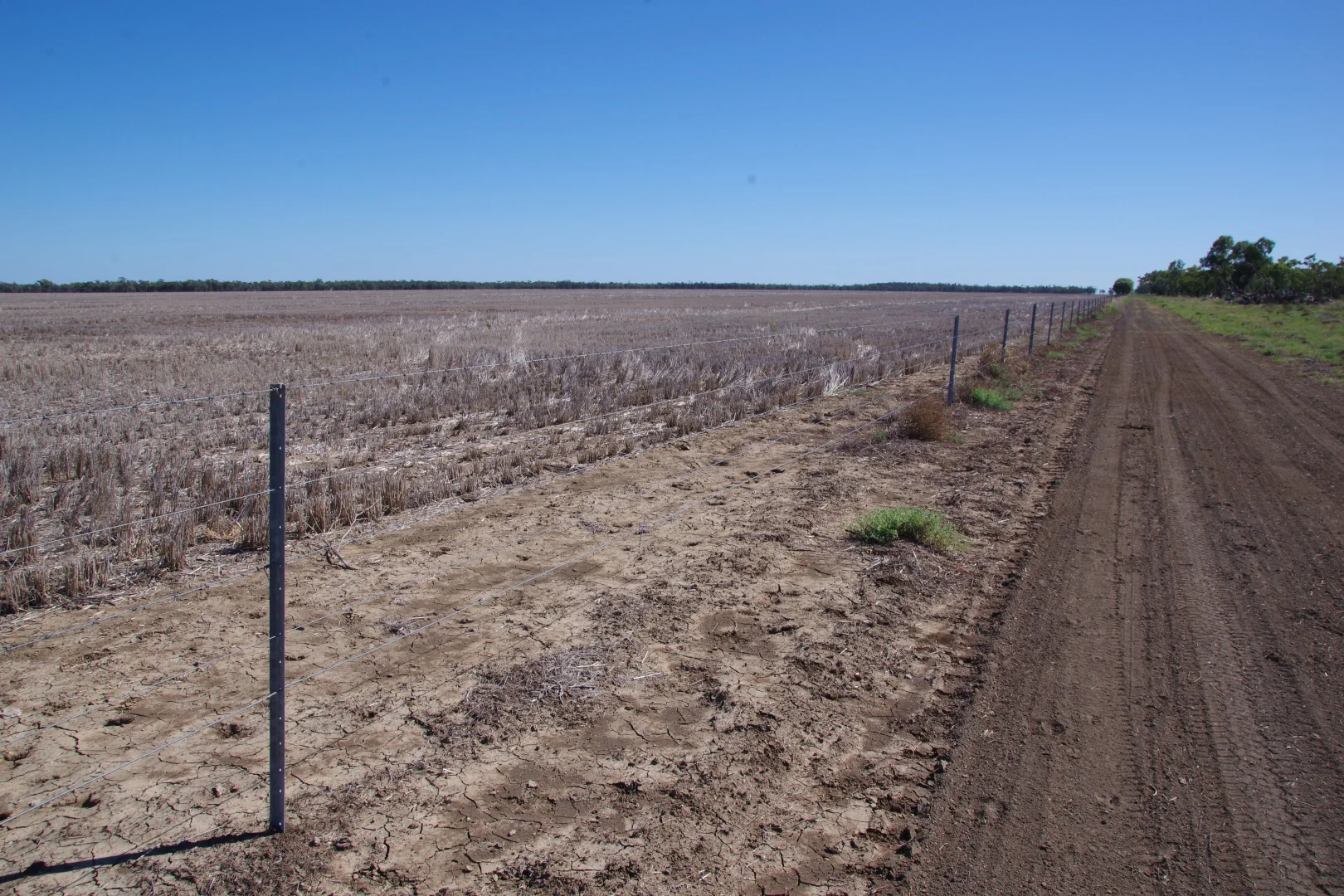 Additional image 7 of . Sunnyside Lane, Wee Waa NSW 2388