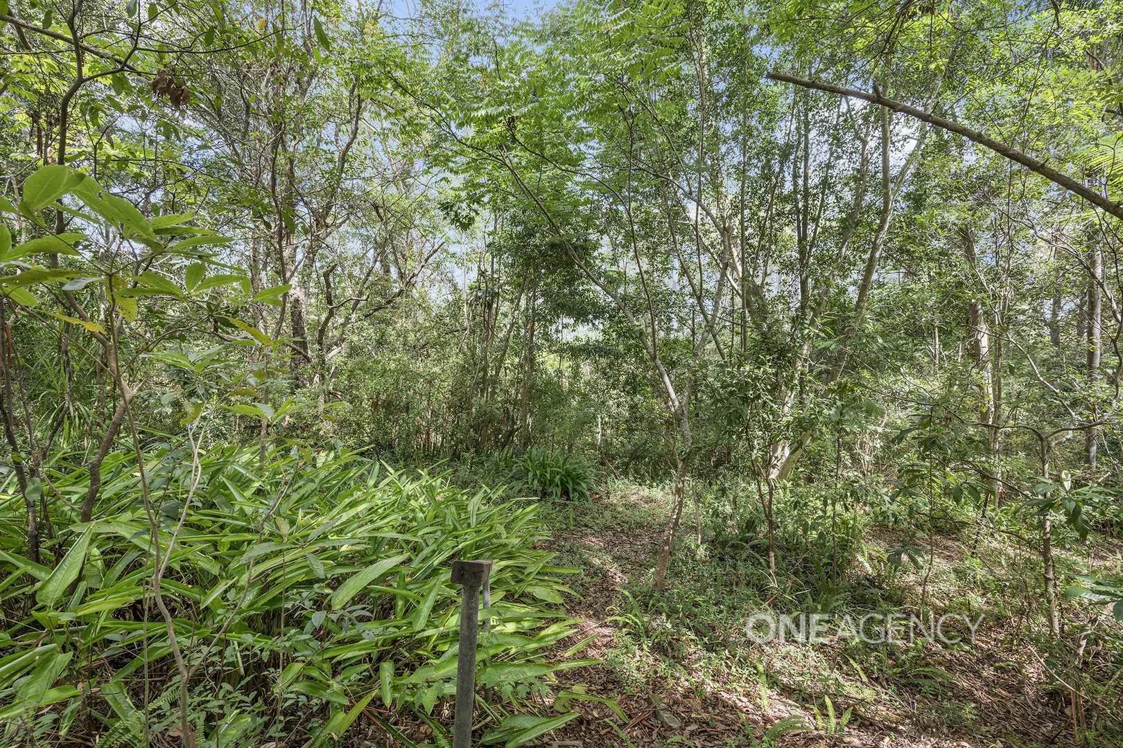 Additional image 16 of 117 High Street, Wauchope NSW 2446