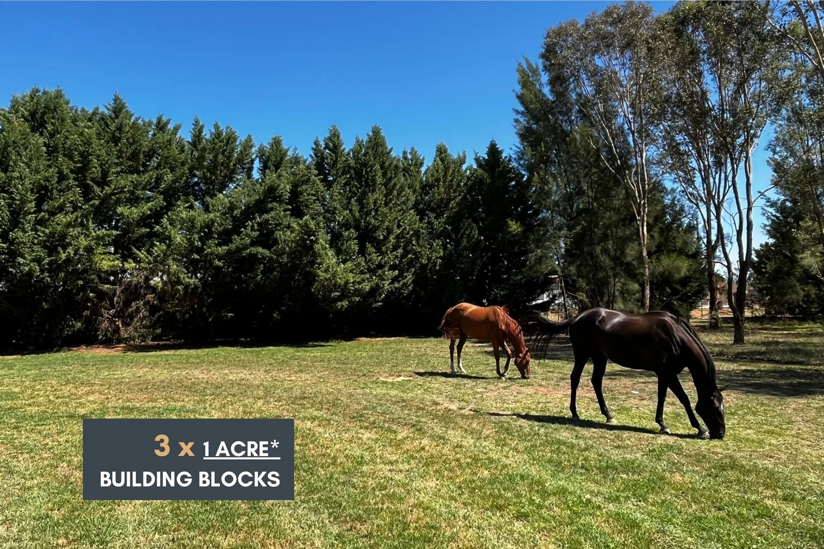 Lots 182, 183, 184 Morongla Road, Cowra NSW 2794