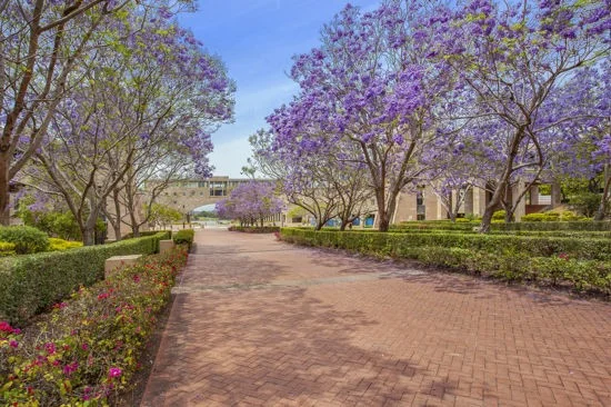 2308A / 3 Main Street, Varsity Lakes QLD 4227