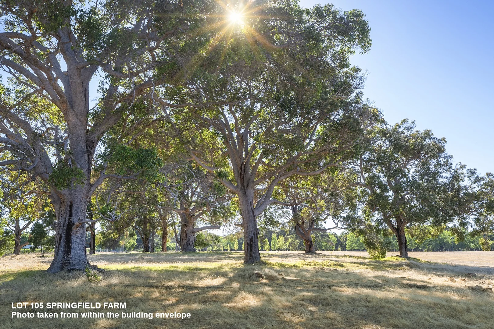Additional image 3 of Lot 105 Springfield Farm, Yallingup WA 6282