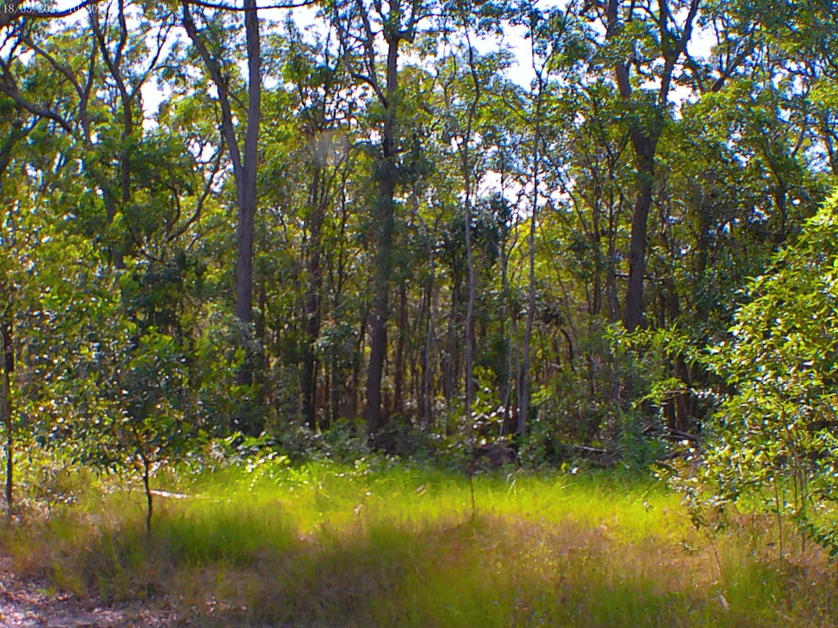 Additional image 9 of 2/71 Bartholdt Drive, Branyan QLD 4670