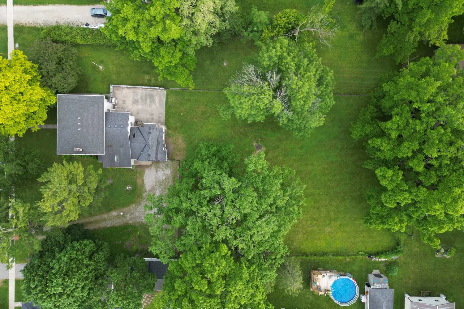 231 William Street photo 2