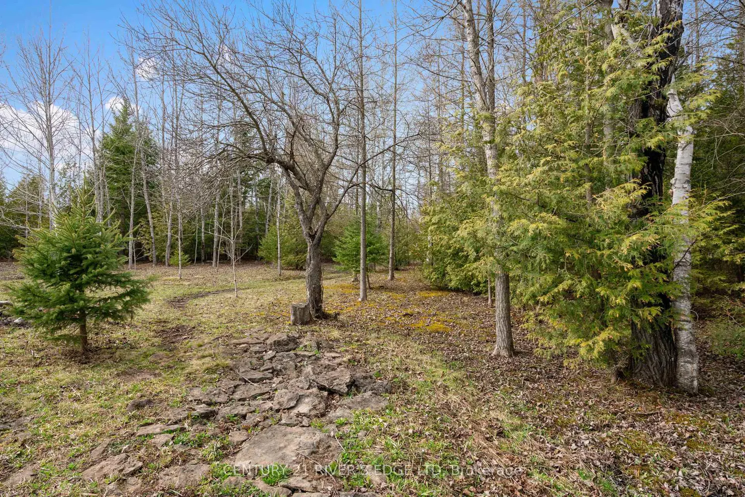 Additional image 15 of 308 Forbes Road