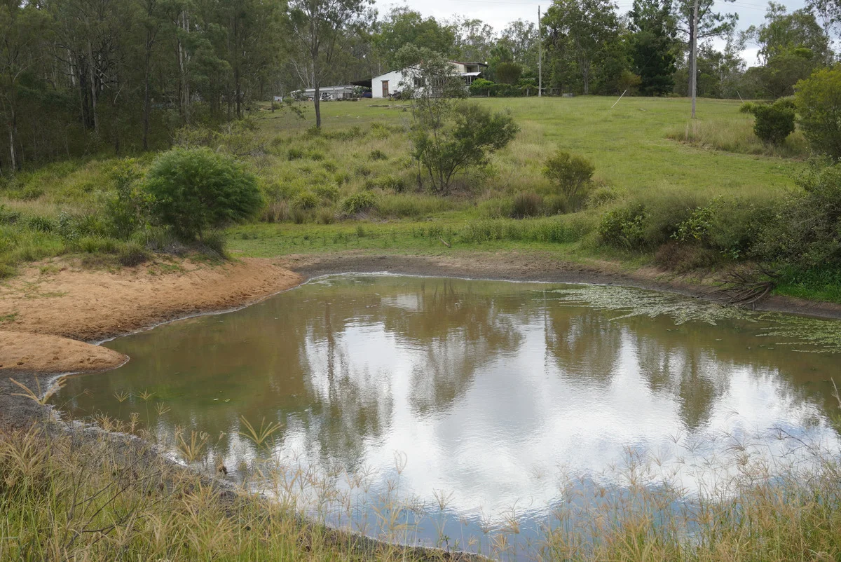 Additional image 4 of 487 Paddys Flat Road, Tabulam NSW 2469