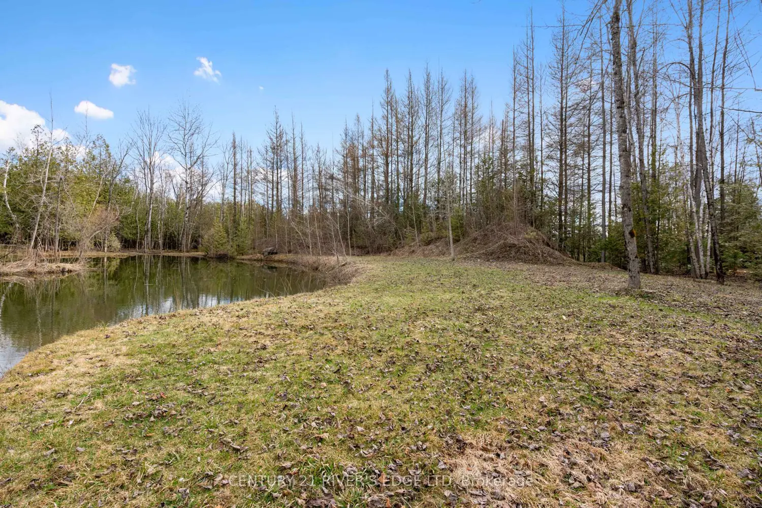 Additional image 10 of 308 Forbes Road