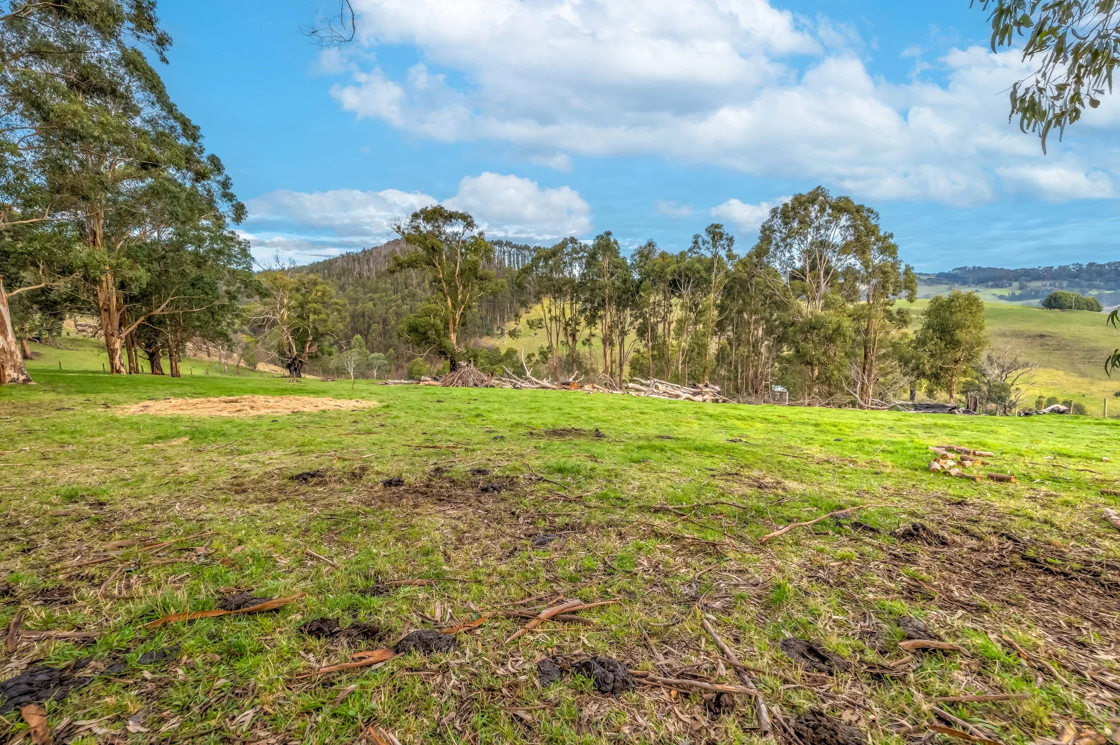 Additional image 11 of 114 Healeys Road, Yinnar South VIC 3869