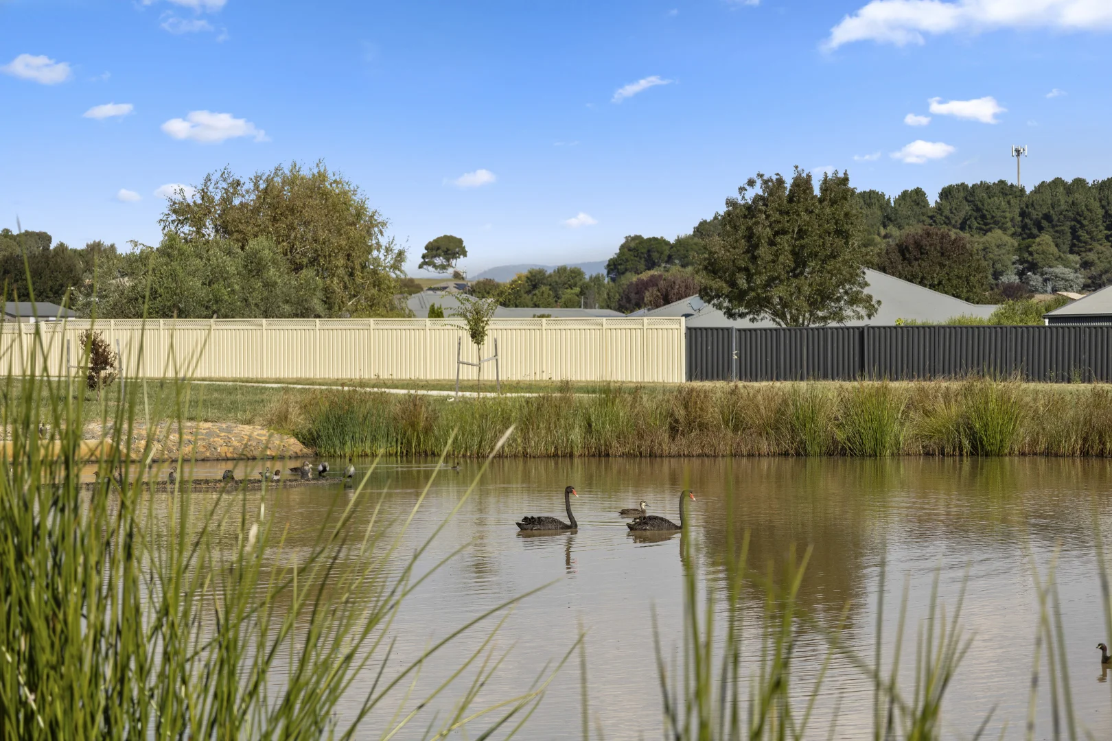 Additional image 12 of 61 Birchfield Drive, Bungendore NSW 2621
