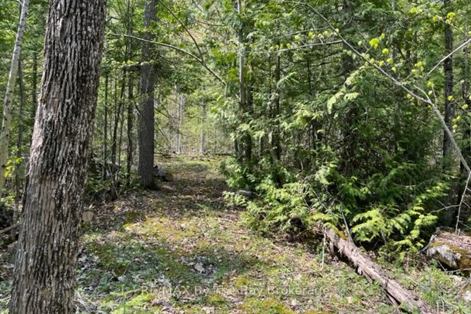Additional image 9 of 191-193 Mallory Beach Road