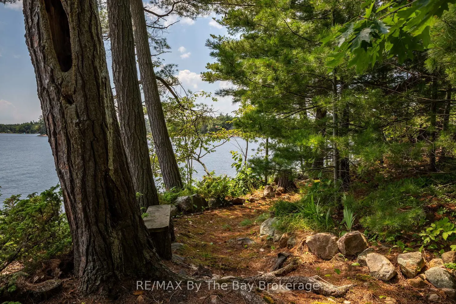 Additional image 19 of 4 Island 800