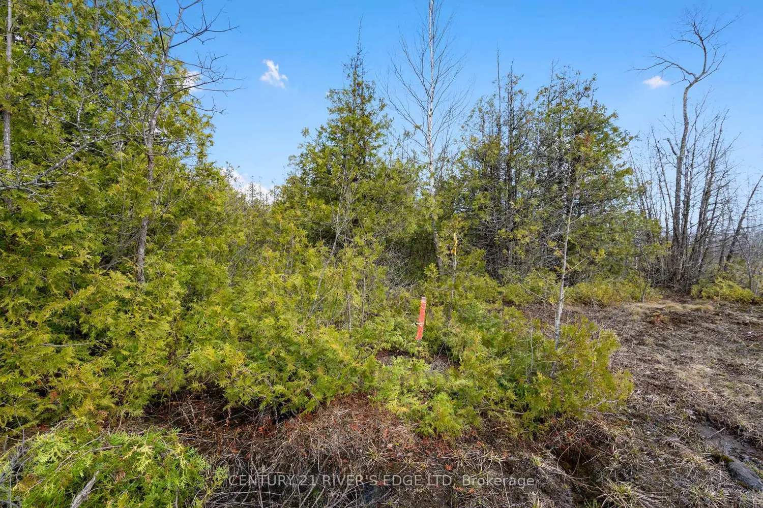 Additional image 14 of 308 Forbes Road