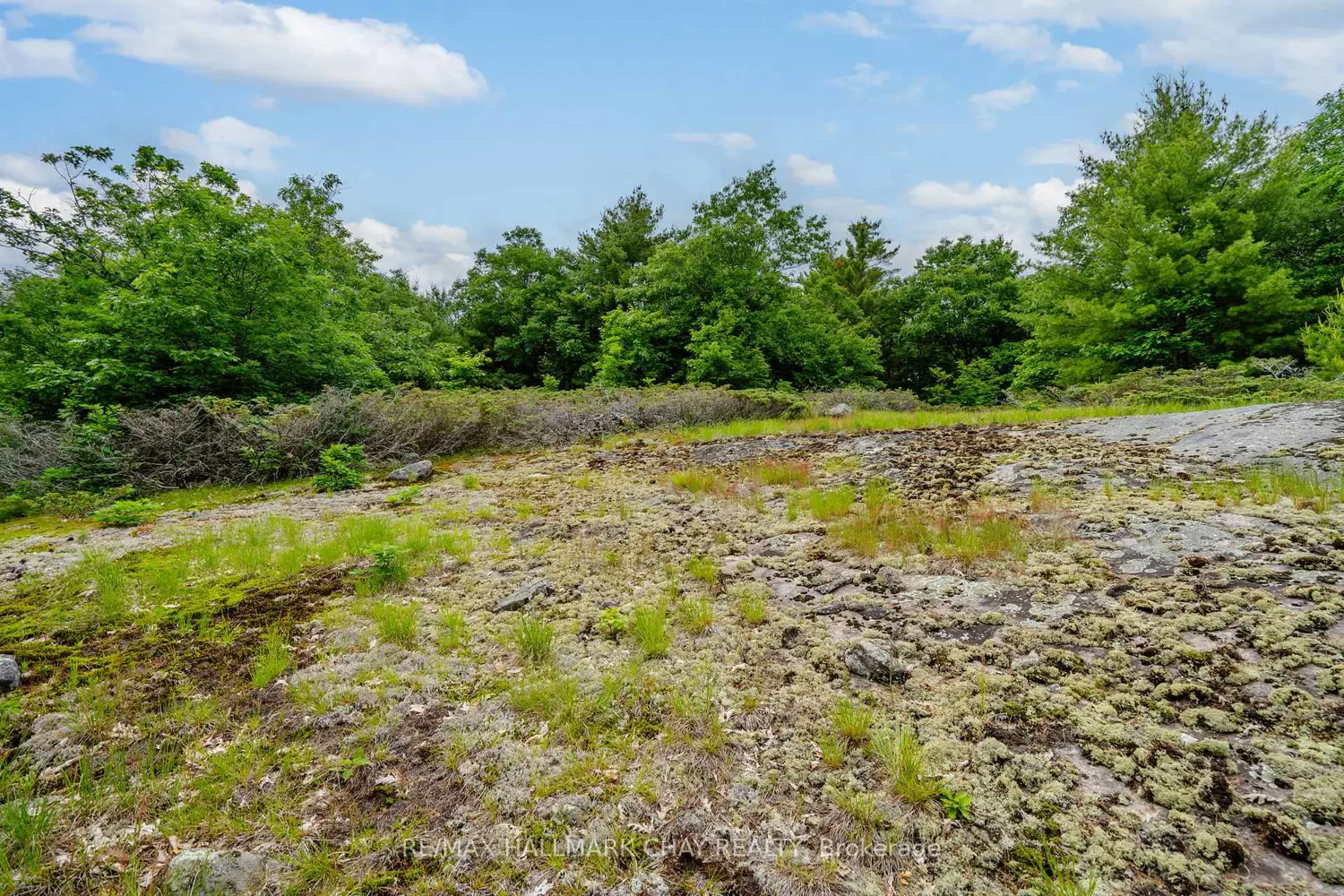 Additional image 18 of Lot 2 Delta Road