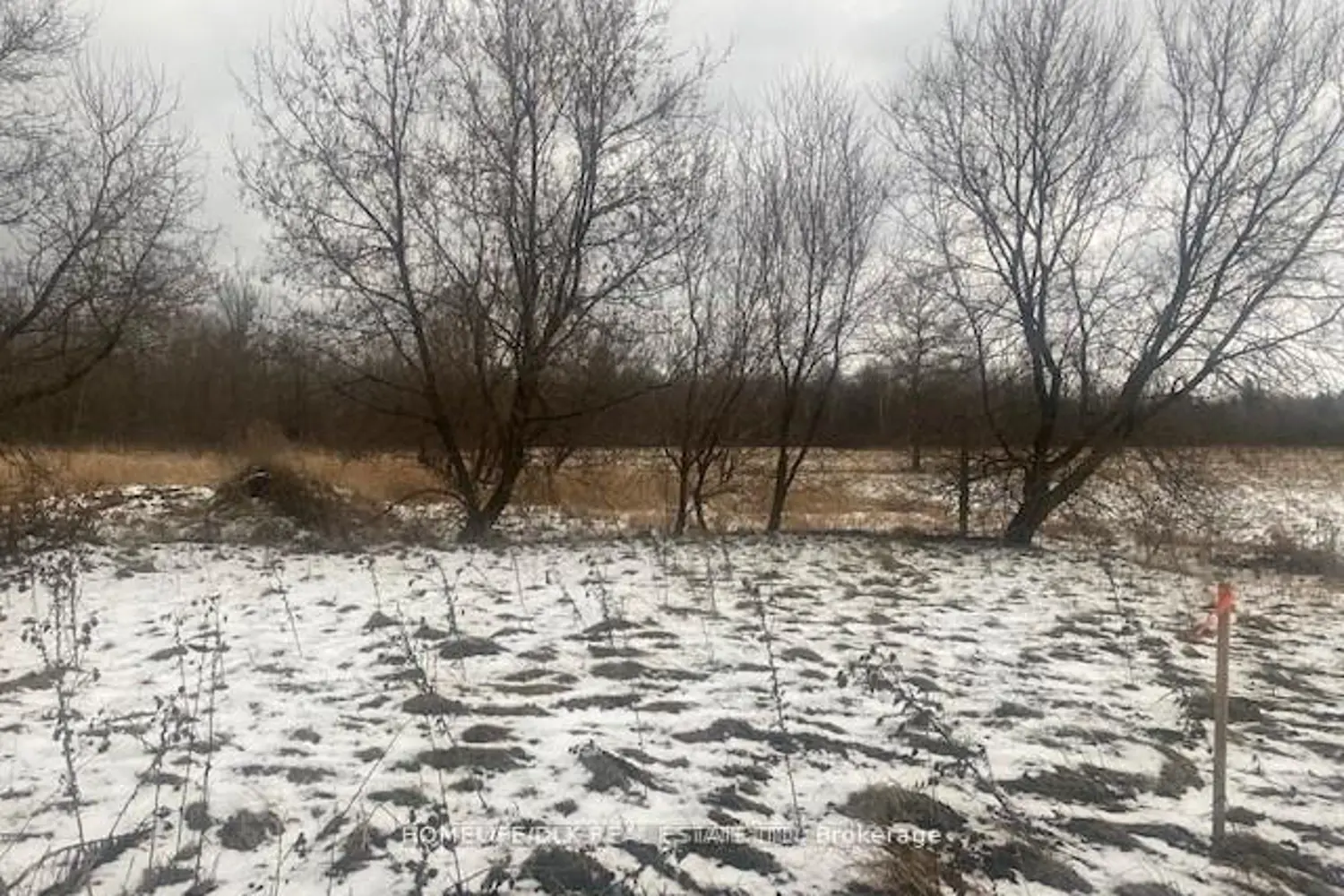 Additional image 8 of 8875 Cty Rd 15 Road