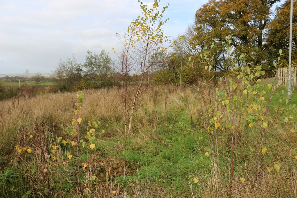 Additional image 3 of Land for saleDalscone Way, Dumfries DG1