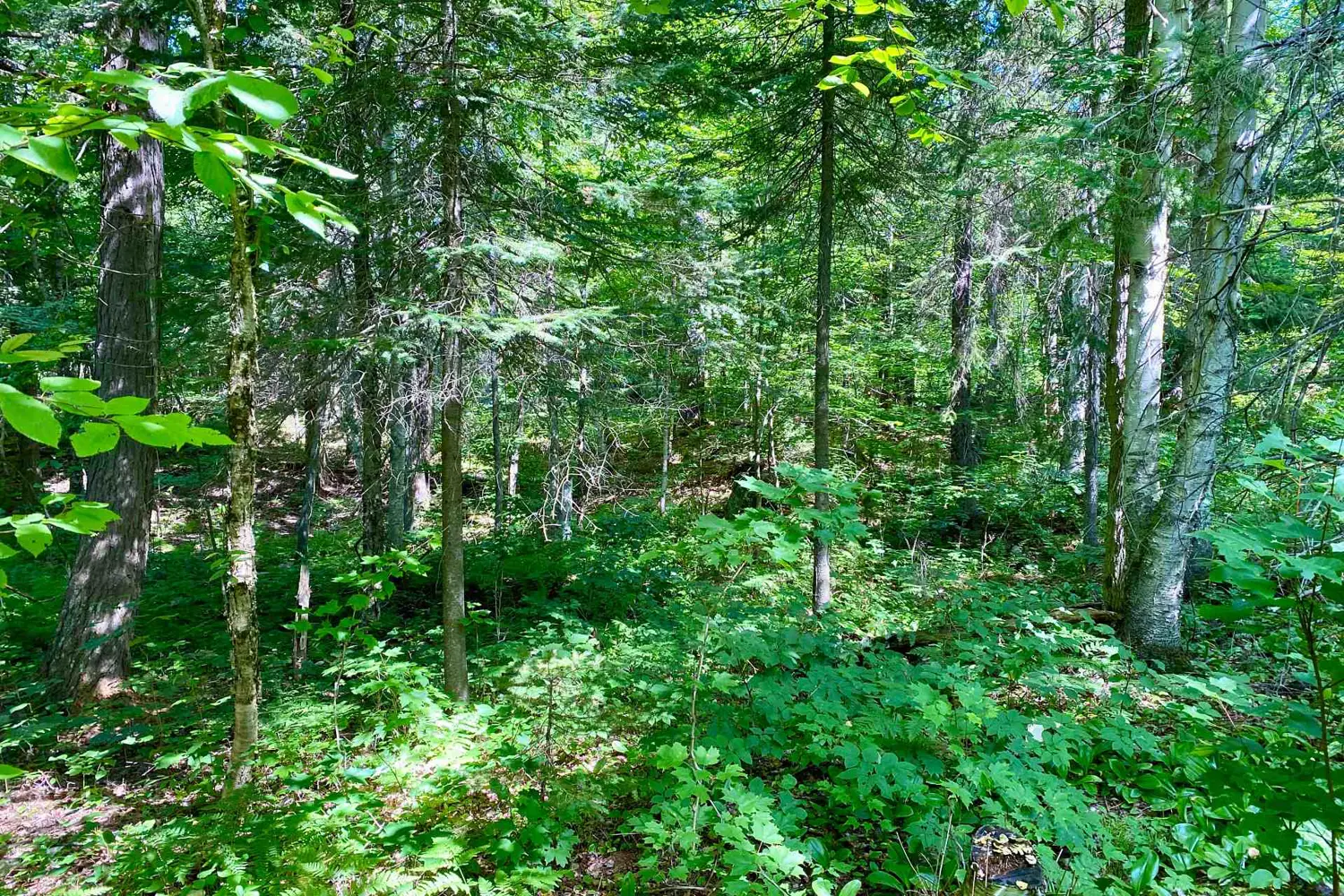 Additional image 3 of 0 Conc. Rd 10 And 11 Concession