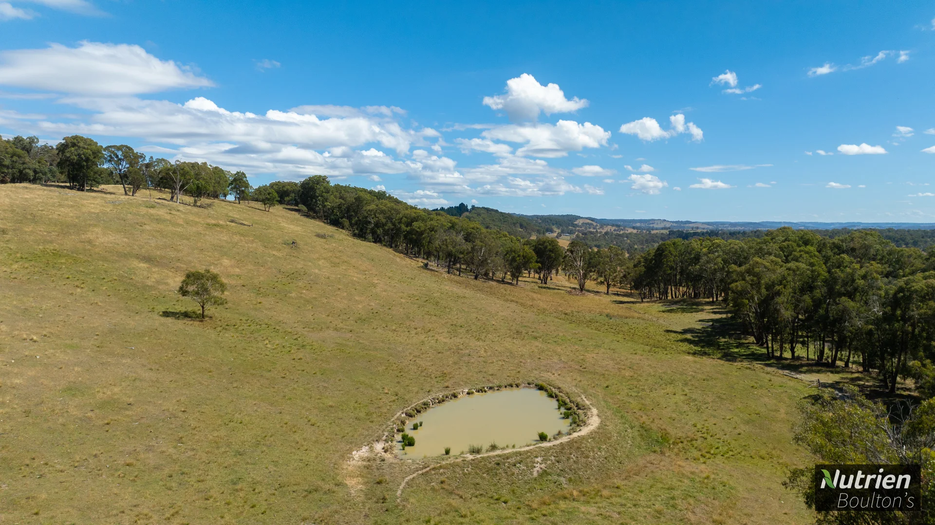 Additional image 43 of 224 Niangala-Walcha Road, Niangala NSW 2354